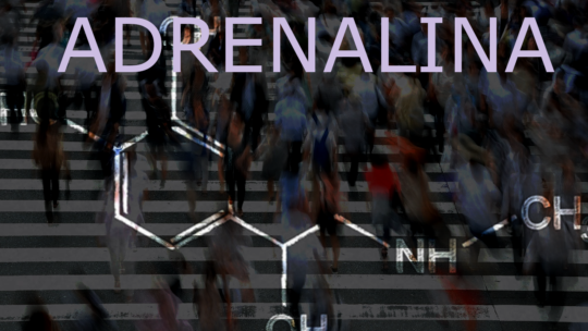 Adrenalina – um veneno para a performance profissional